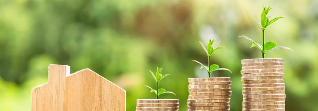 immagine introduttiva dell articolo riguardante Pace Fiscale e Reddito di Cittadinanza