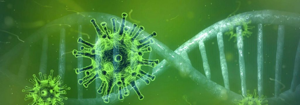 immagine introduttiva dell articolo riguardante Agenzia delle Entrate e Corona Virus