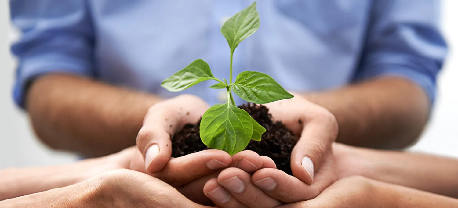 Immagine dell'articolo riguardante Biografia aziendale: strutturare la narrazione dell'impresa